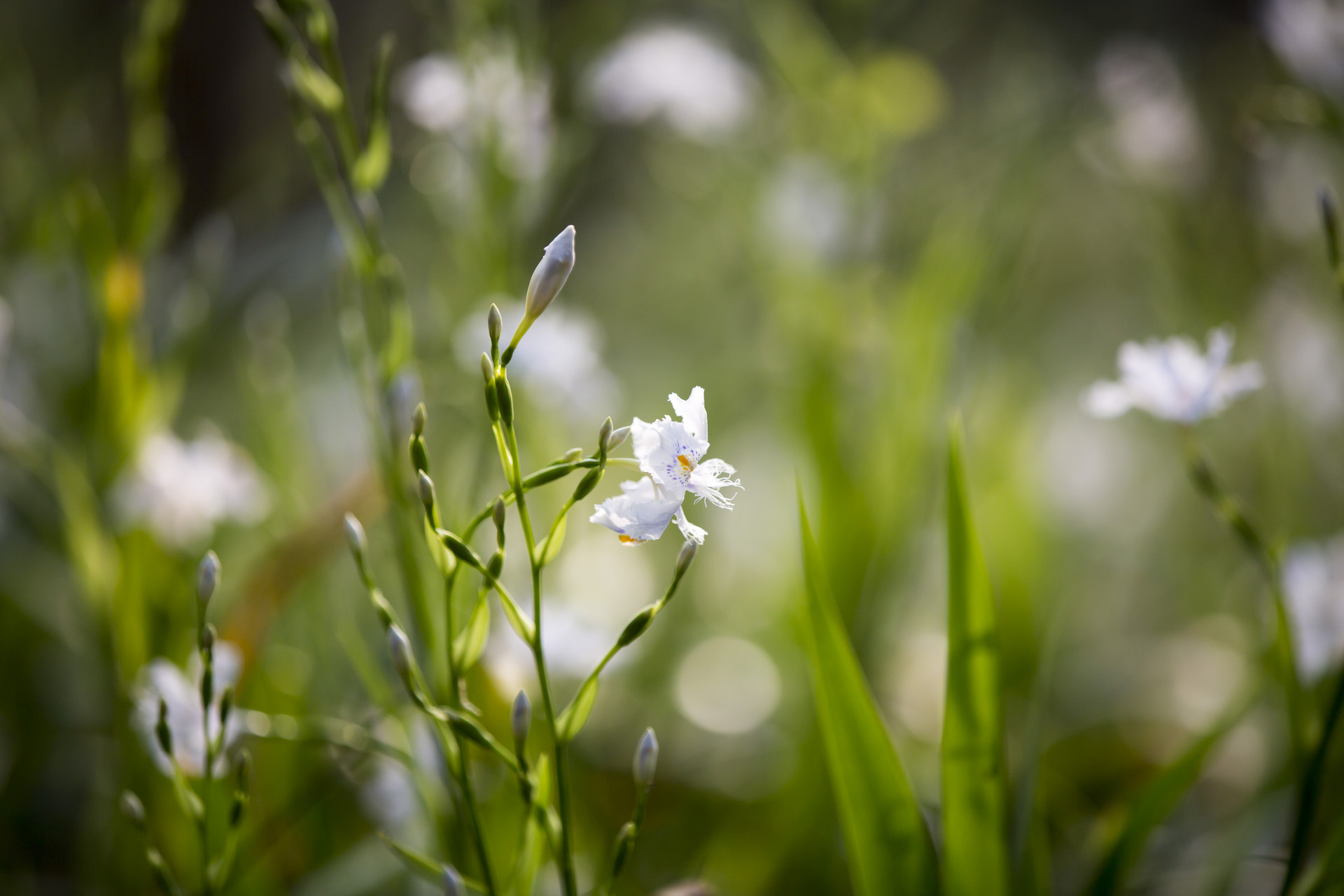 2022年春分前一天結婚好嗎