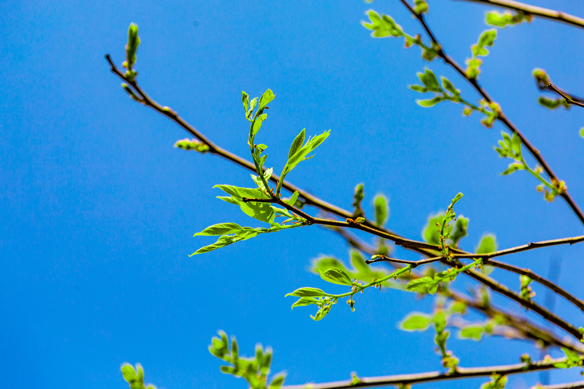 2022年春分天氣情況怎么樣