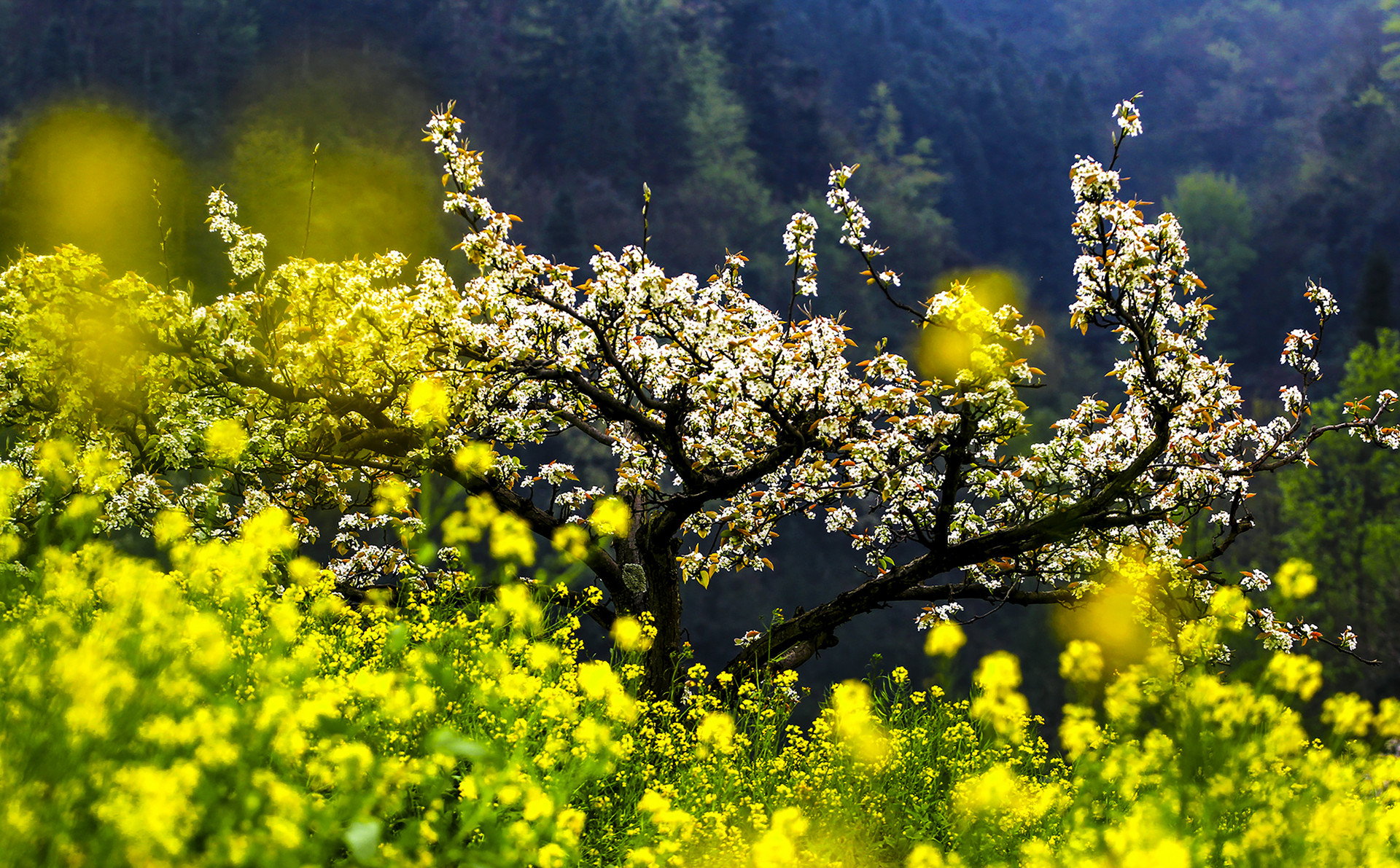 2022年春分可以回娘家嗎