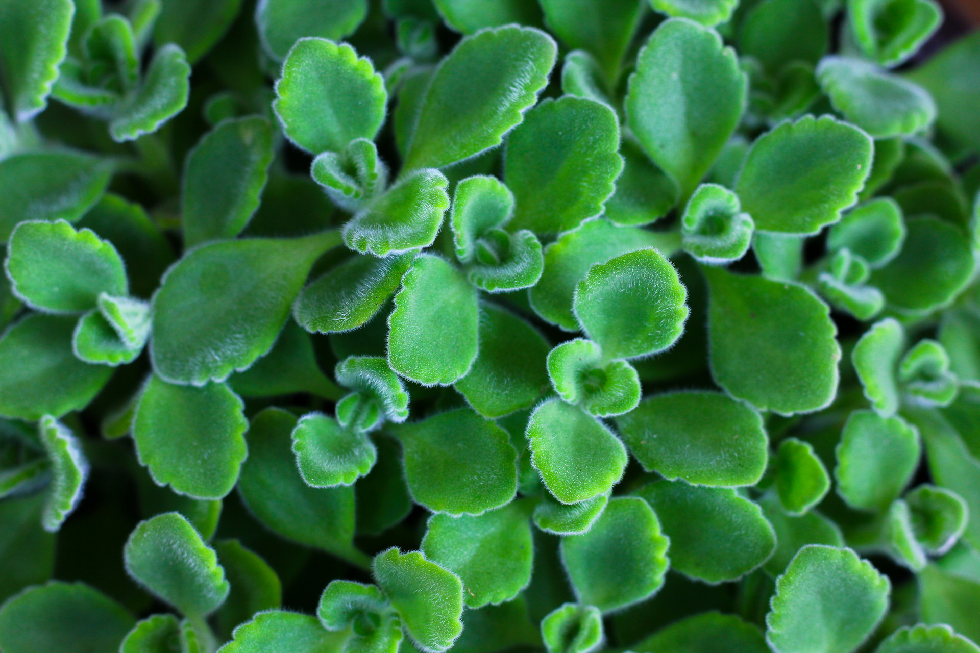 2022年春分節(jié)氣溫度是多少