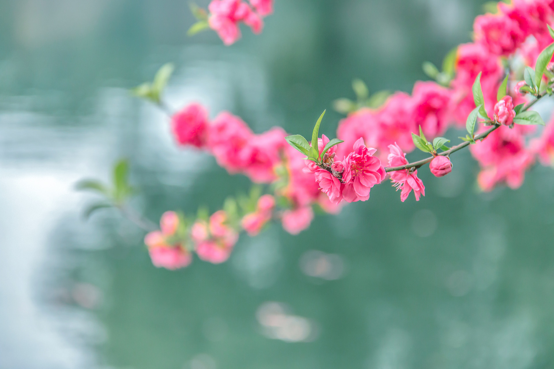 2022年春分適合搬家嗎