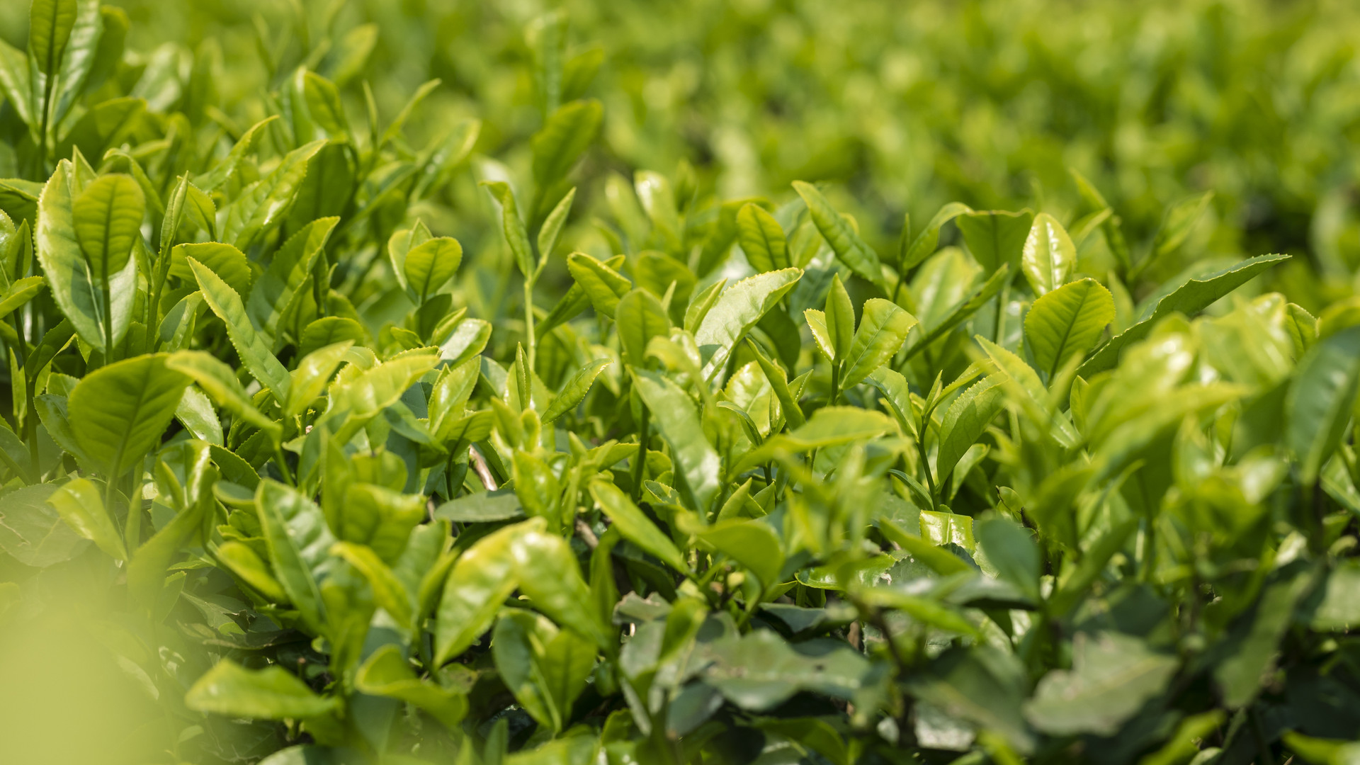 2022年谷雨領證好嗎