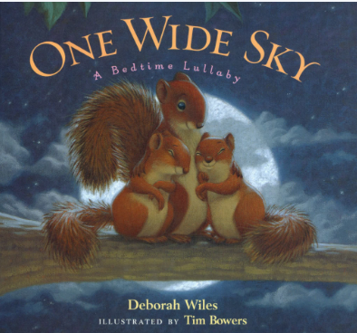 One Wide Sky英文繪本電子版PDF資源免費下載