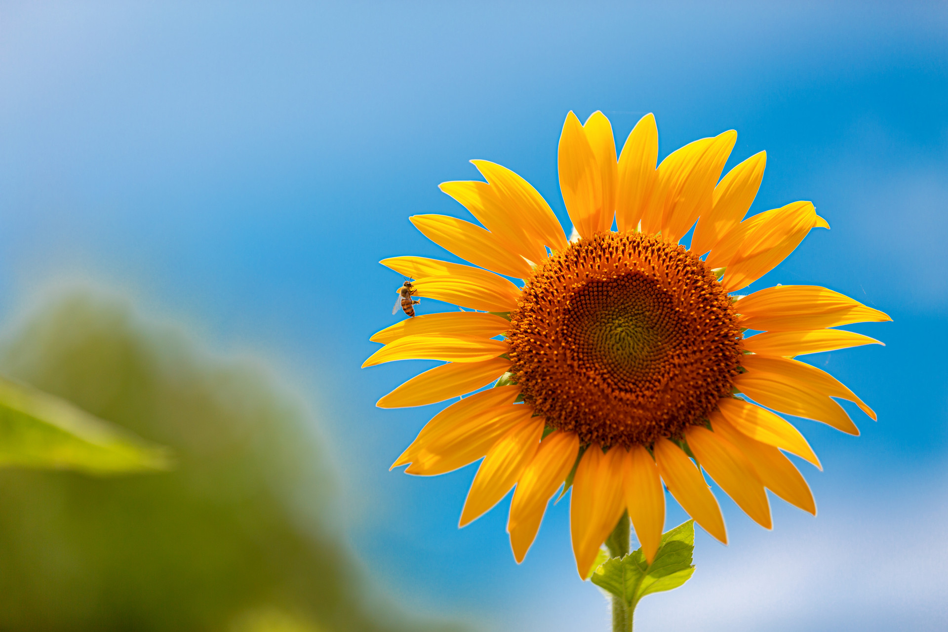 2022年三伏天雨水多嗎