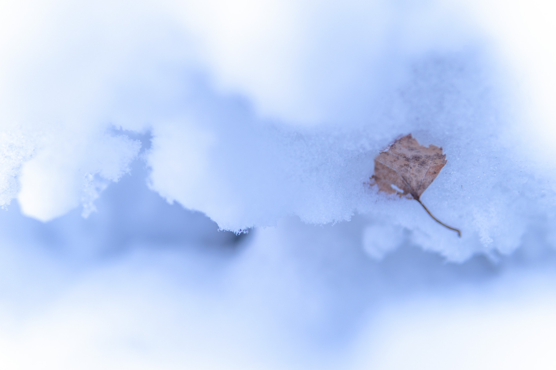 2022年冬至是幾月幾日