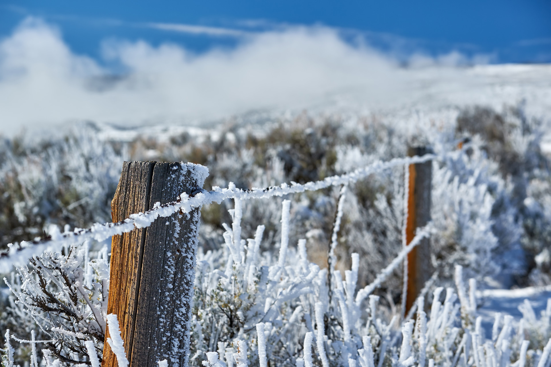 2022年冬至放假嗎