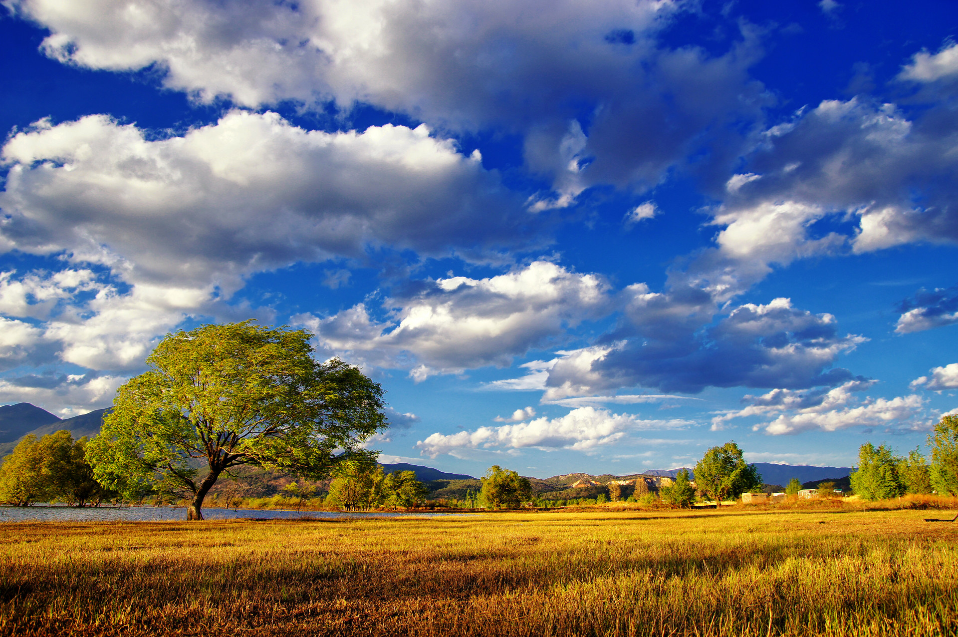 2022年天氣什么時候回暖
