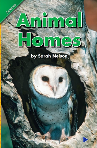 培生pearson讀物Animals Homes繪本電子版資源免費(fèi)下載