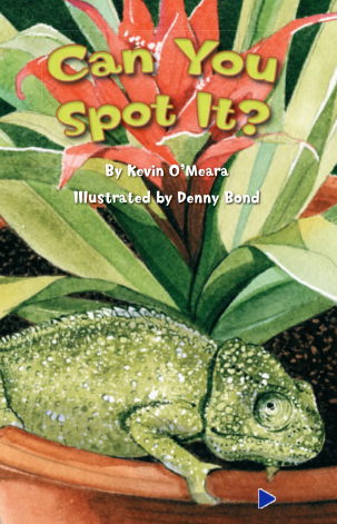 培生pearson讀物Can You Spot It繪本電子版資源免費下載