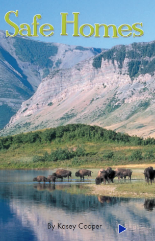 培生pearson讀物Safe Homes繪本電子版資源免費下載