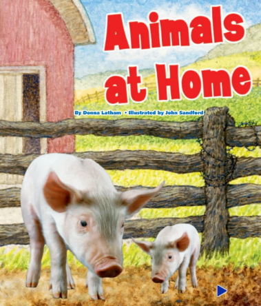 培生pearson讀物Animals at Home繪本電子版資源免費下載