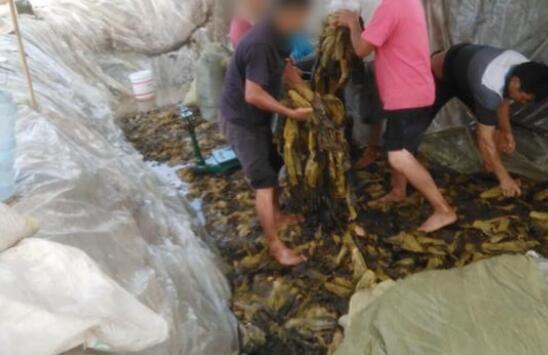 統一的老壇酸菜究竟是哪的