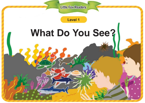 Single Stories 39 What Do You See音頻+視頻+電子書百度云免費下載