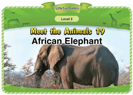 Meet the Animals 19 African Elephant音頻+視頻+電子書百度云免費下載