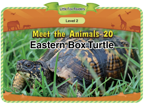 Meet the Animals 20 Eastern Box Turtle音頻+視頻+電子書百度云免費下載