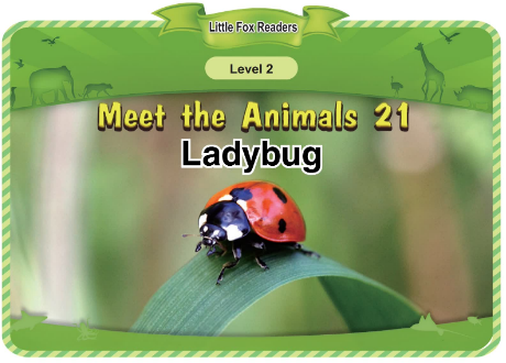 Meet the Animals 21 Ladybug音頻+視頻+電子書百度云免費下載
