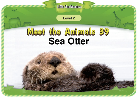 Meet the Animals 39 Sea Otter音頻+視頻+電子書百度云免費(fèi)下載