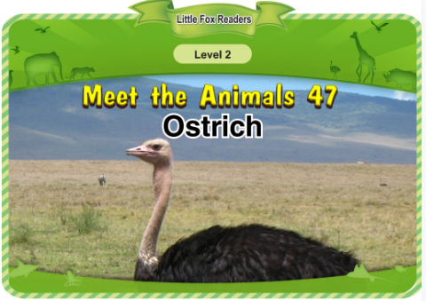 Meet the Animals 47 Ostrich音頻+視頻+電子書百度云免費(fèi)下載