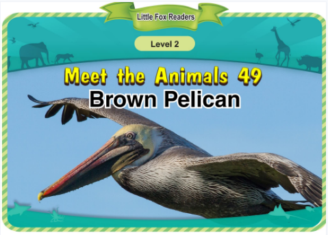 Meet the Animals 49 Brown Pelican音頻+視頻+電子書百度云免費(fèi)下載