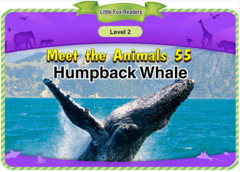 Meet the Animals 55 Humpback Whale音頻+視頻+電子書百度云免費(fèi)下載