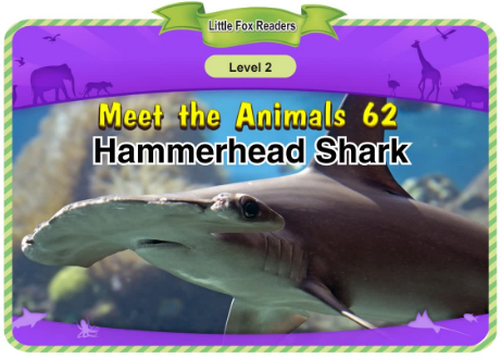 Meet the Animals 62 Hammerhead Shark音頻+視頻+電子書百度云免費下載