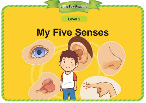 Single Stories 2 My Five Senses音頻+視頻+電子書百度云免費下載