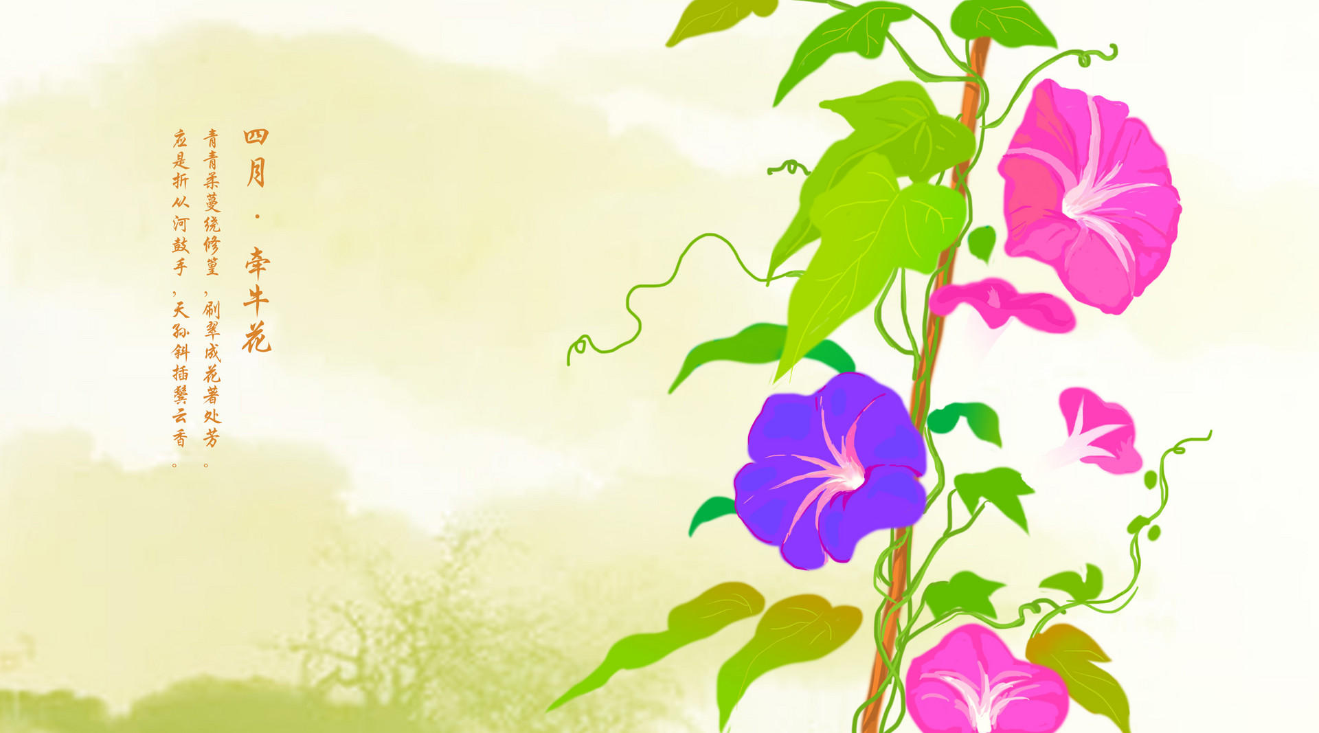 寫一種花的作文100字至150字