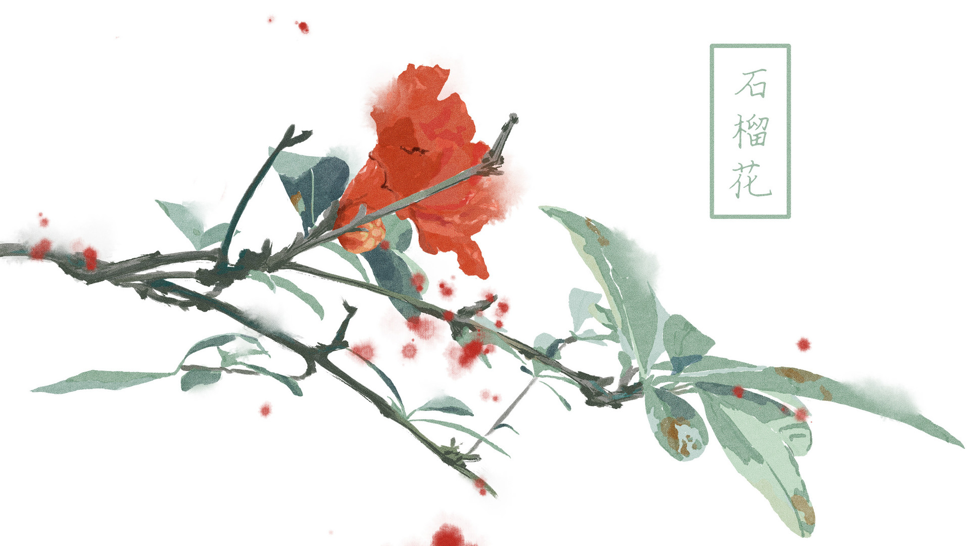 我喜歡石榴花三年級作文