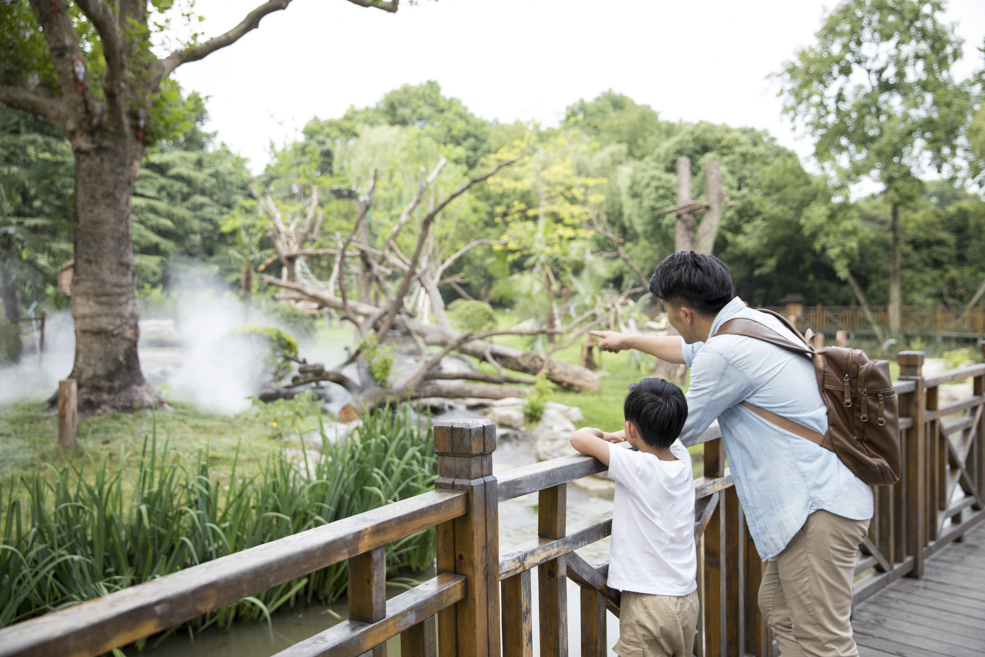 暑假參觀動(dòng)物園日記400字