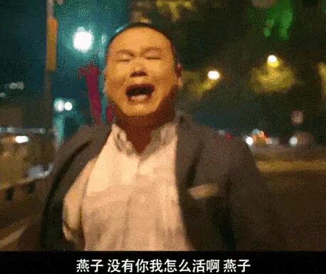 燕子沒有你我可怎么活呀是什么梗