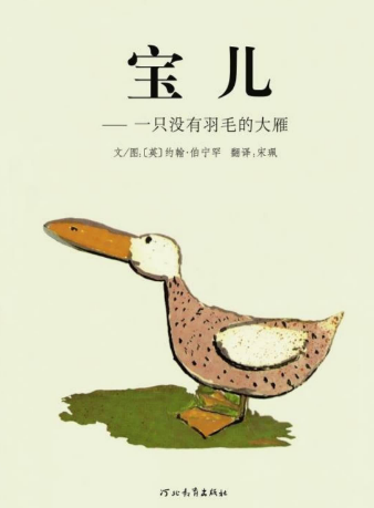 寶兒——一只沒有羽毛的大雁繪本故事PPT百度網盤免費下載