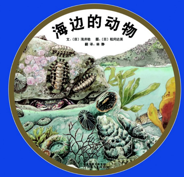 海邊的動物繪本故事PPT百度網盤免費下載