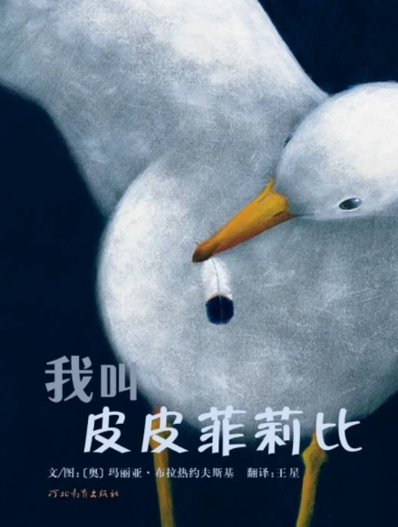 我叫皮皮菲莉比繪本故事PPT百度網盤免費下載