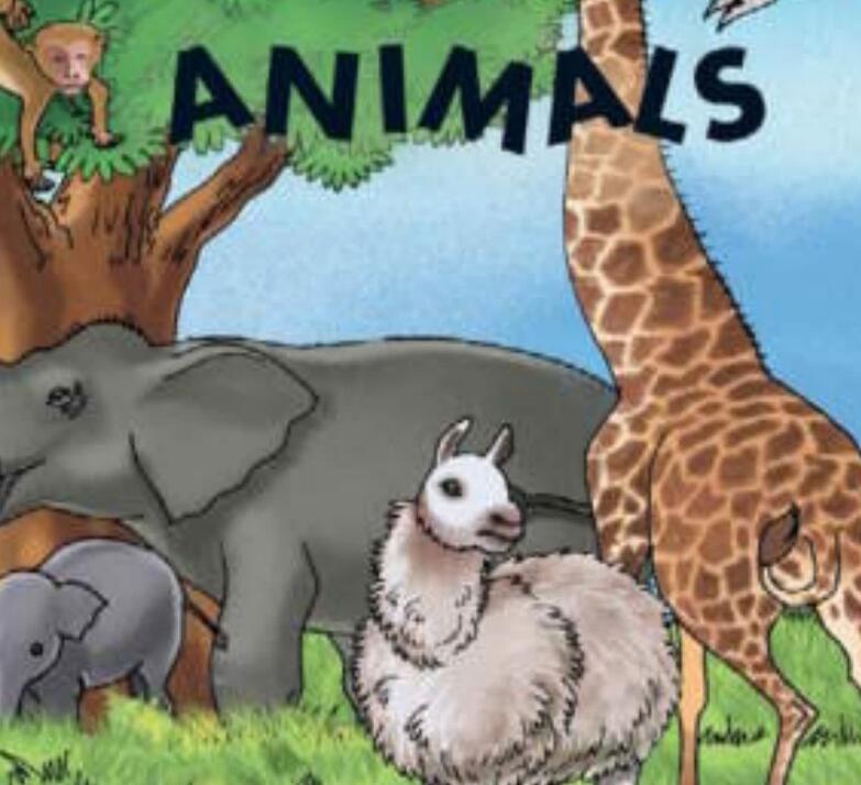 《Animals動物》兒童英語繪本pdf電子書資源下載