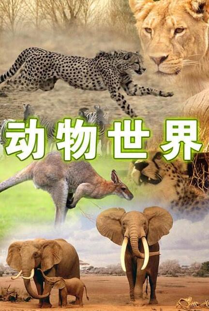 少兒動物世界紀(jì)錄片第一季5集英文版百度網(wǎng)盤資源下載