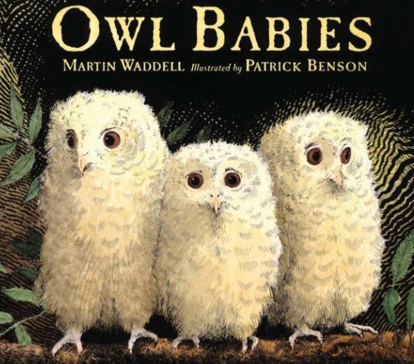 Owl Babies繪本內(nèi)容翻譯及PDF電子版百度網(wǎng)盤下載