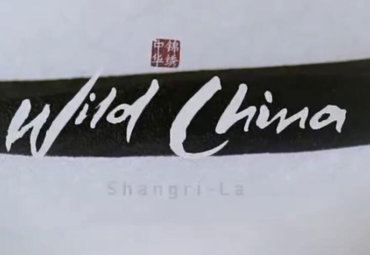BBC美麗中國1-6集紀錄片百度網(wǎng)盤資源下載