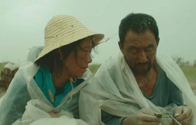 隱入塵煙是真實故事改編嗎