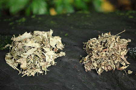 孩子照顧不好為什么都怪媽媽？爸爸沒有責任嗎？