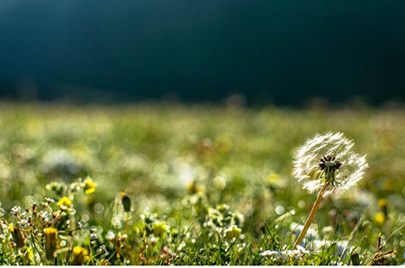 這幾種女性孕前要檢查！