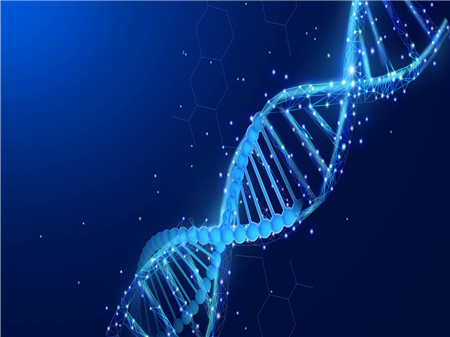 復發性流產需要檢查哪些項目