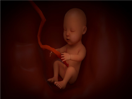 孕婦堿性磷酸酶偏高對胎兒有影響嗎