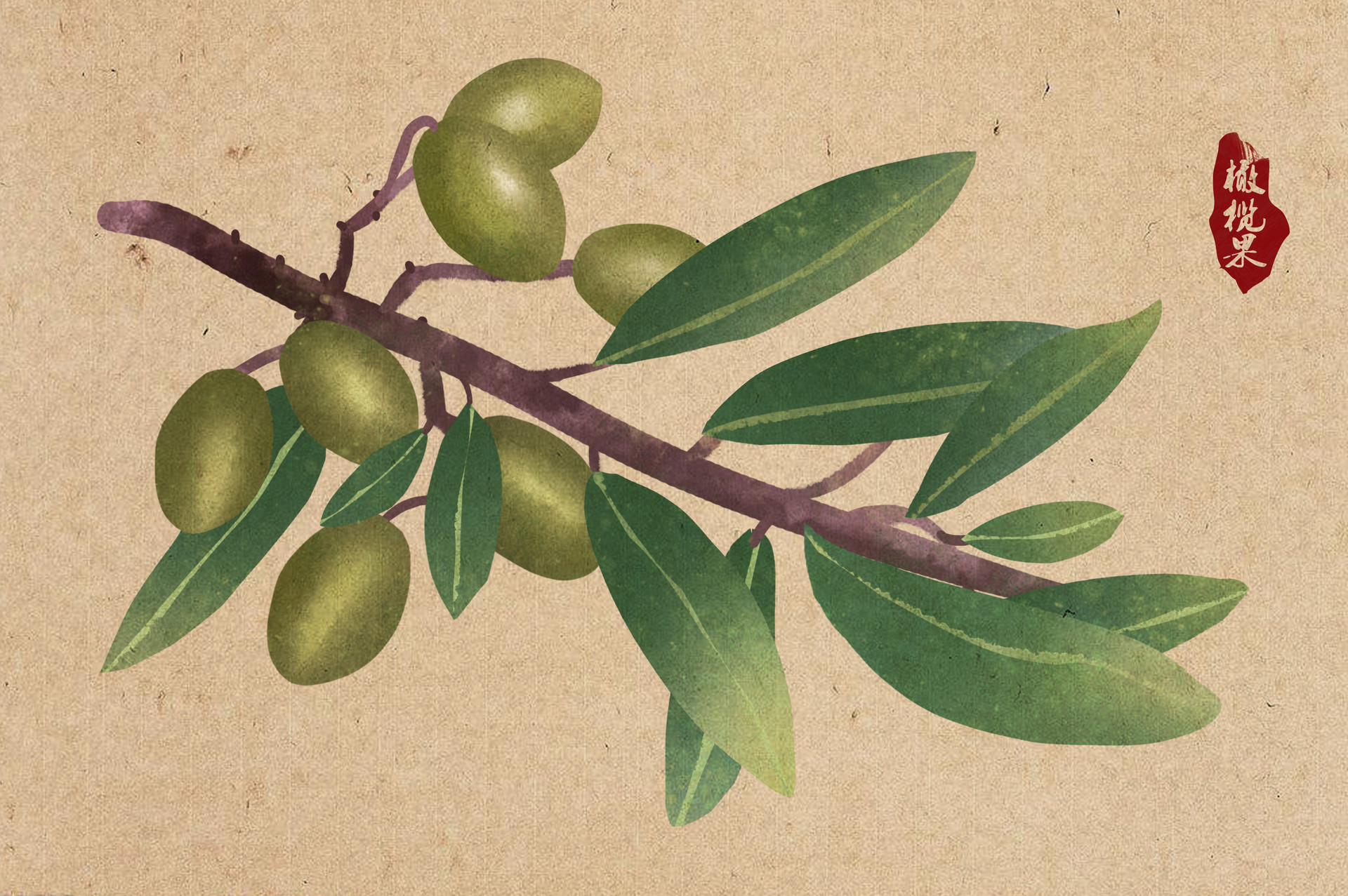 孕婦吃橄欖果的吃法