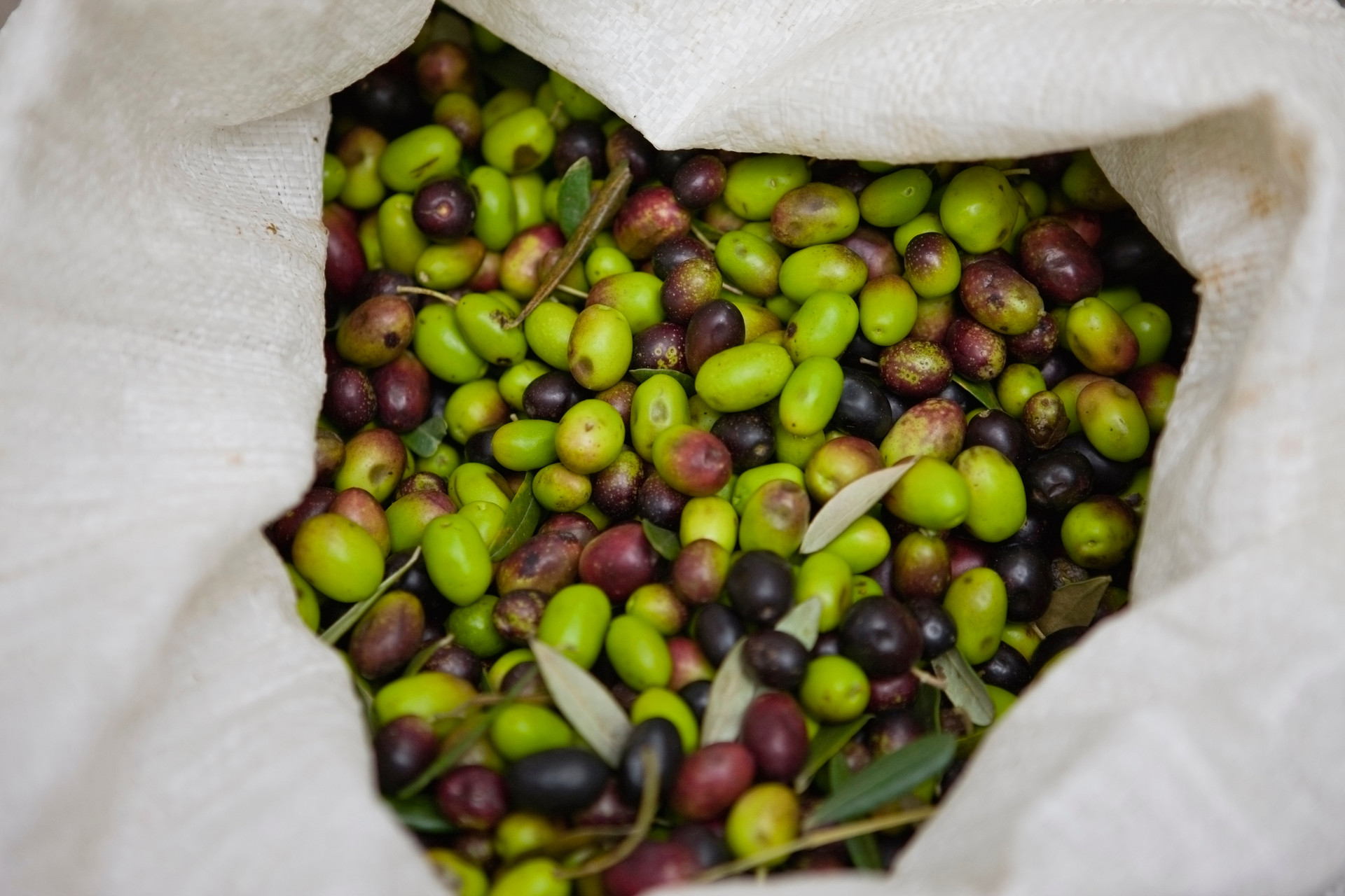 青橄欖怎么腌制好吃