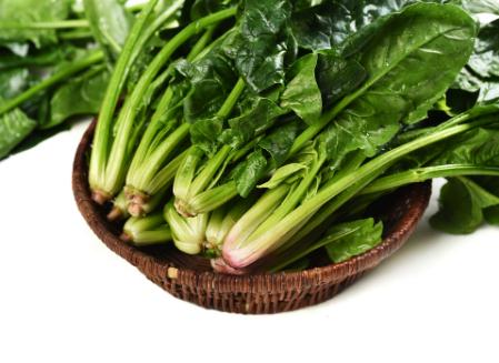 菠菜能增加肌肉力量嗎