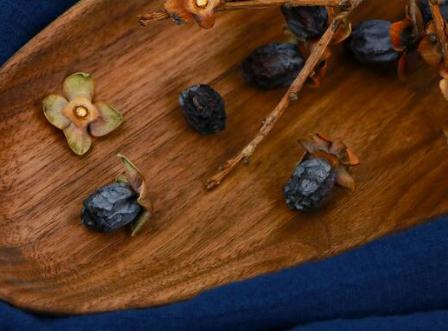 孕婦吃黑棗可以補血嗎