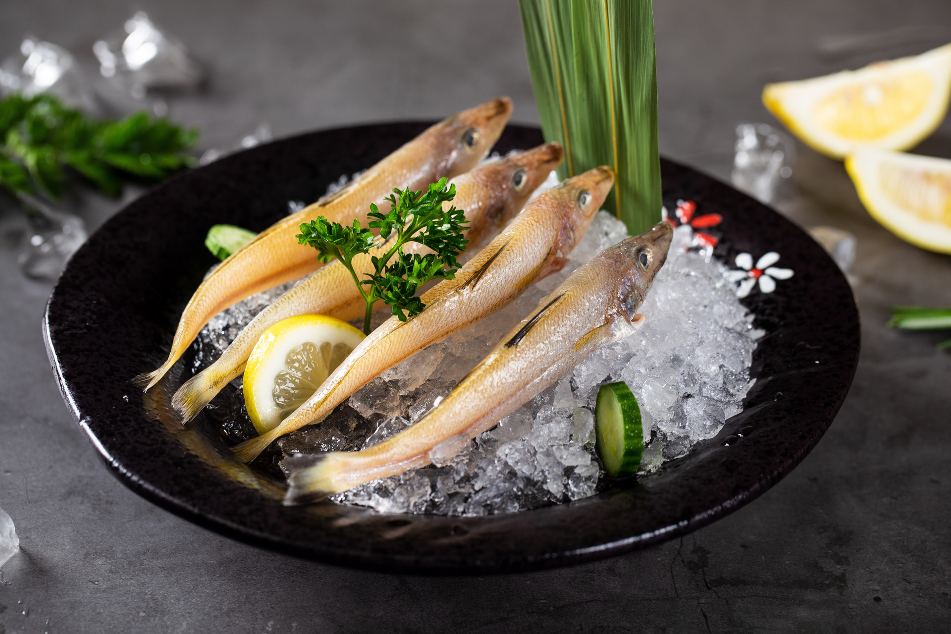 沙丁魚是海魚還是河魚