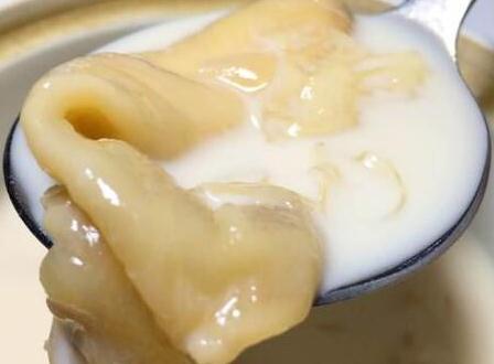 花膠燉牛奶有什么功效