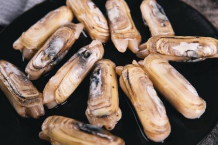 孕婦吃蟶子的好處