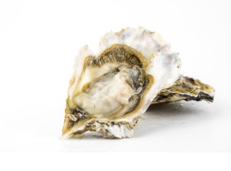 牡蠣粉能改善性功能嗎